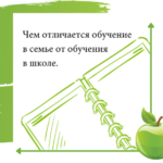 Чем отличается обучение в семье от обучения в школе. Запись встречи