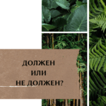 Сначала лошадь, потом телега