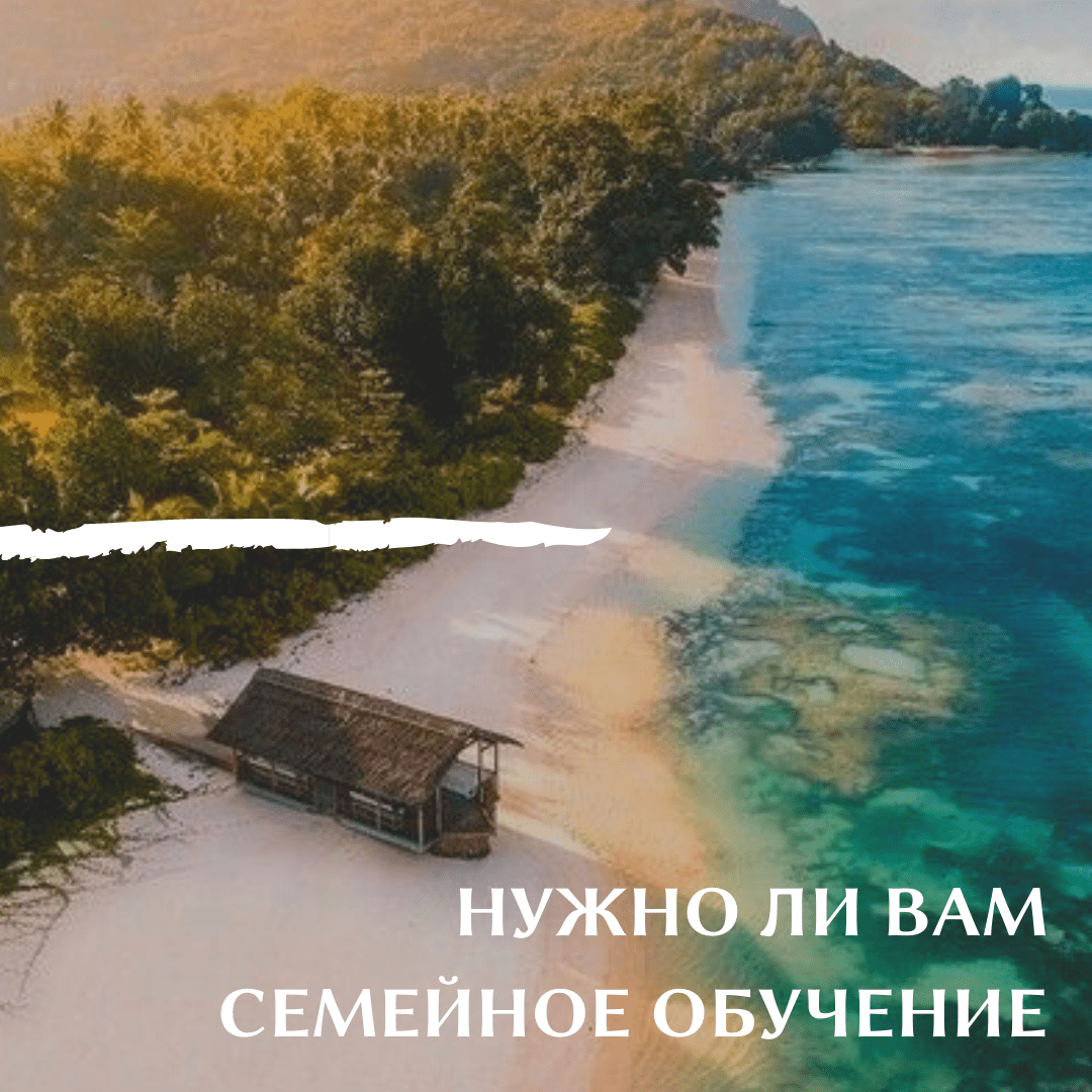 Lenta VK i IG 5