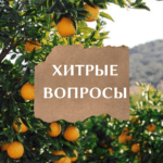 Хитрые вопросы для детей