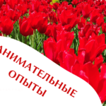 Занимательные опыты