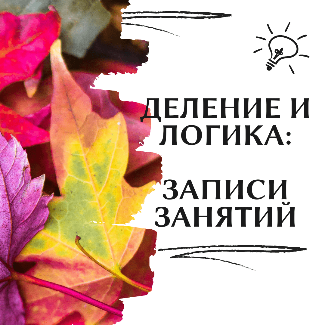 Lenta VK i IG 24