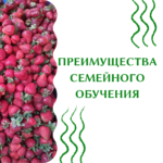 Кратко о СО