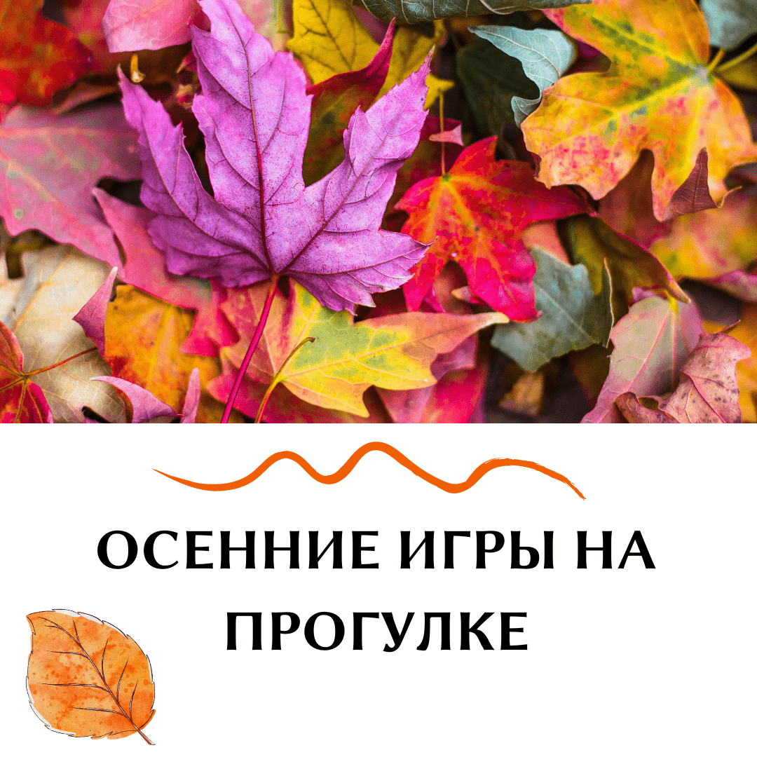 Lenta VK i IG 8