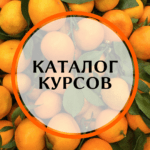 Каталог курсов
