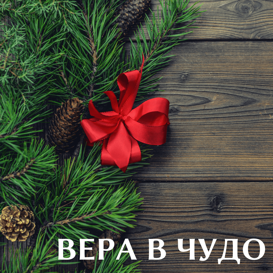 Lenta VK i IG 5