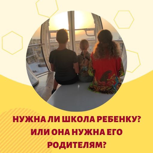 Pochemu ya ne otdaju svoih detej v shkolu