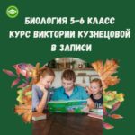 Биология 5-6 класс. Курс в записи.