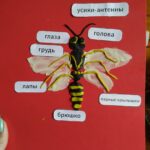 Интерактивные страницы в начальной школе