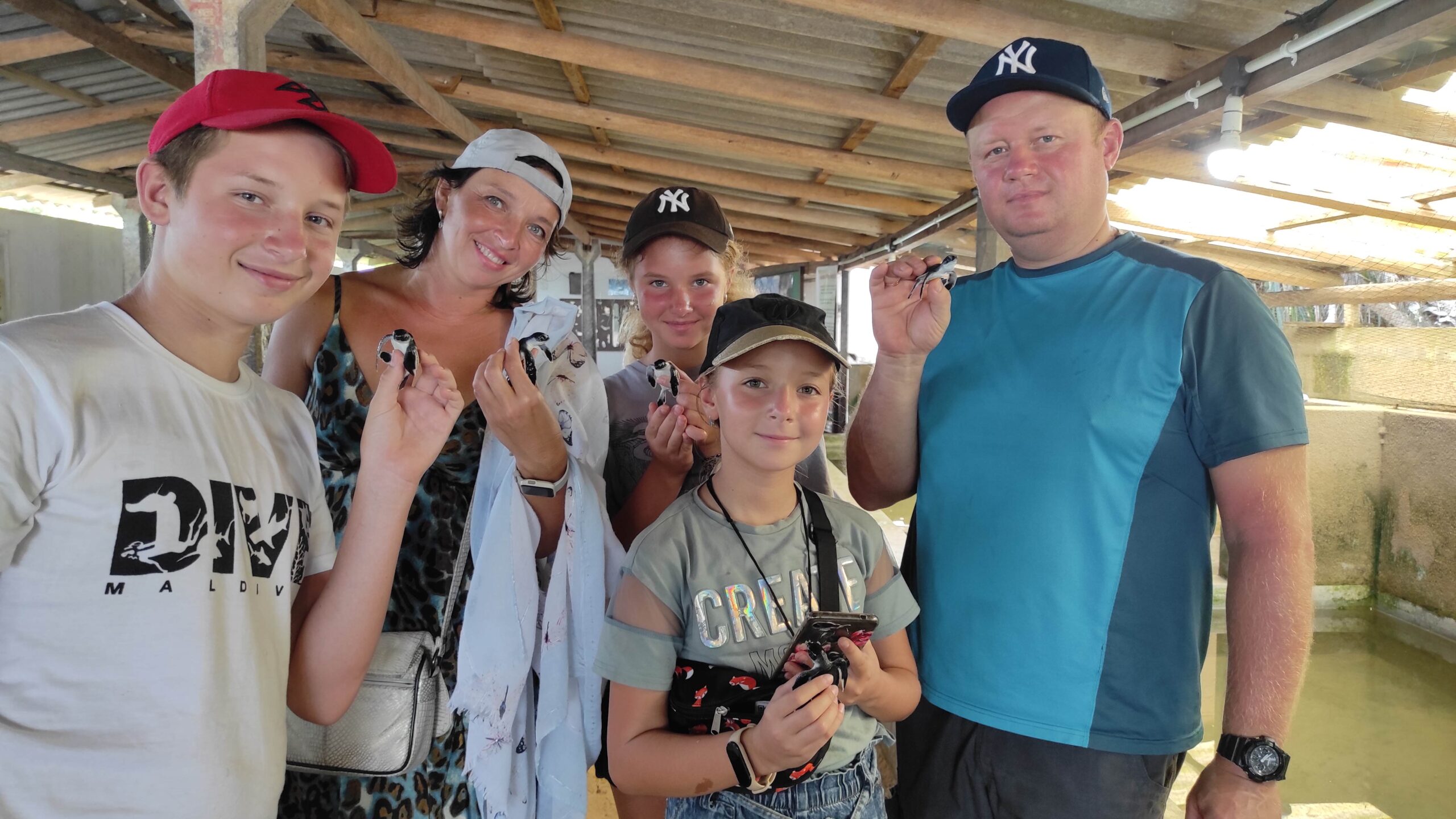 tb