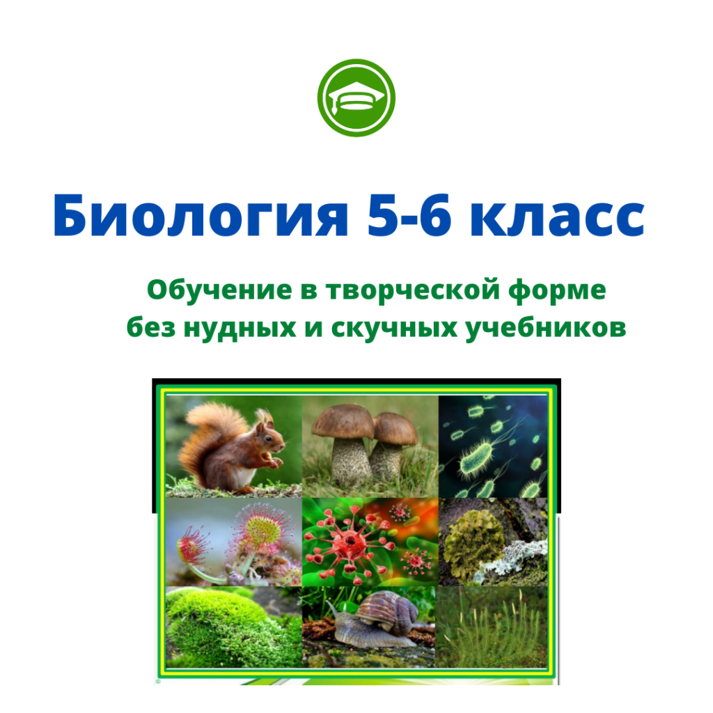 Курс Биология 5 — 6 класс
