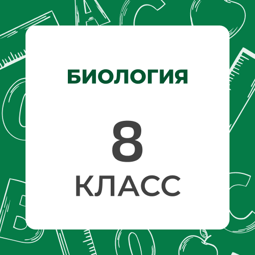 Биология 8 класс