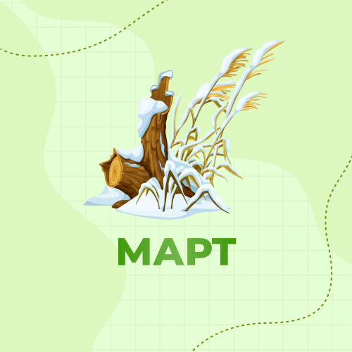 1 класс. Март 2027